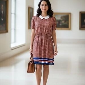 Forever 21 Red Gingham Dress with White Collar